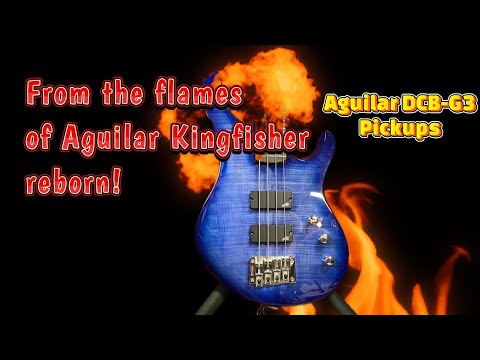 Aguilar PUP DCB G3 install and sounds.