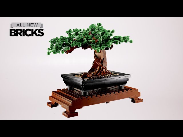 Vídeo relacionado con LEGO Botanicals Bonsai Tree - Faux Plant for Adults - Home Décor Set with Artificial Cherry Blossom Flowers - DIY Building Projects - Gift Idea for Women and Men - Botanical Collection - 10281