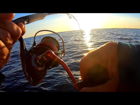 Didn't Expect This! Solo FISHING 20 Miles Offshore on my Small Boat