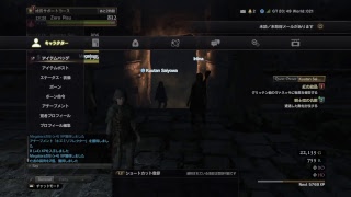 ライブやっていくぅ！［ドラゴンズドグマオンライン］