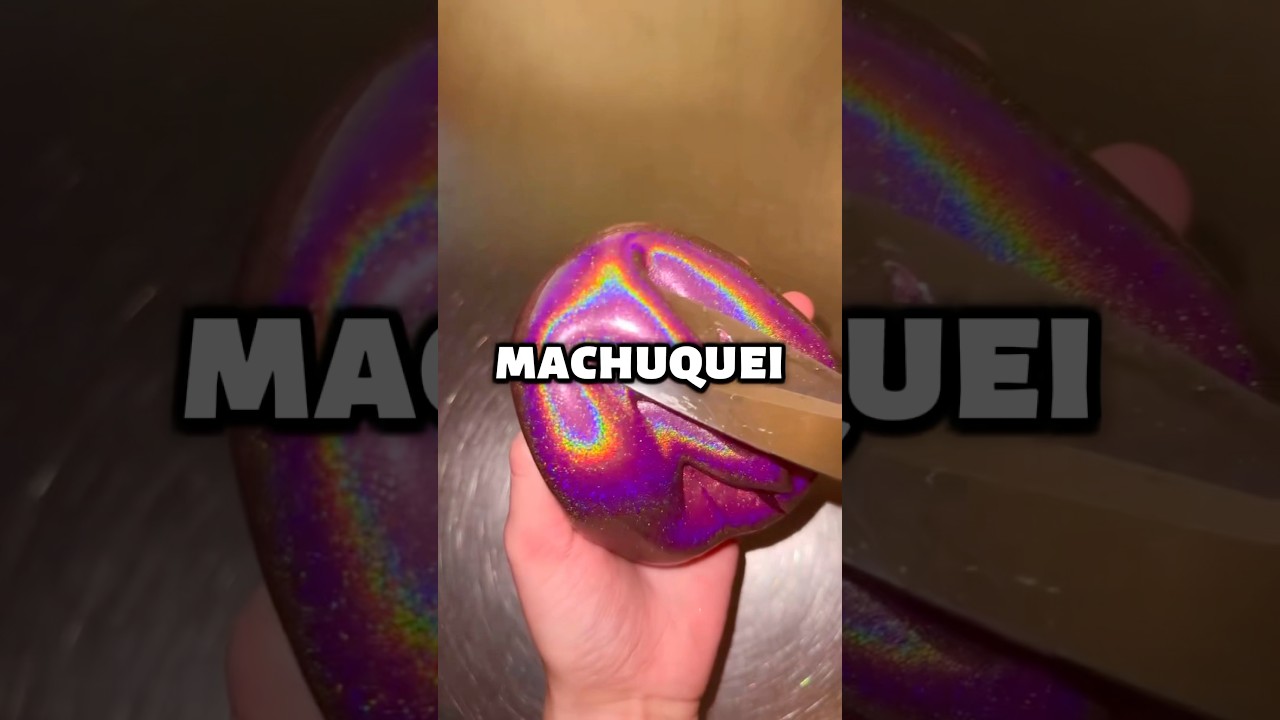 Meu cachorro me salvou!❤️