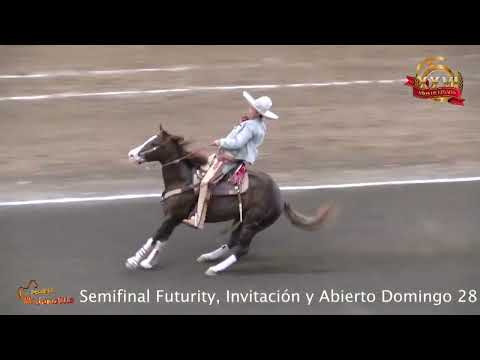Millonario Semifinal Futurity, Caladero por Invitación y Abierto Domingo 27