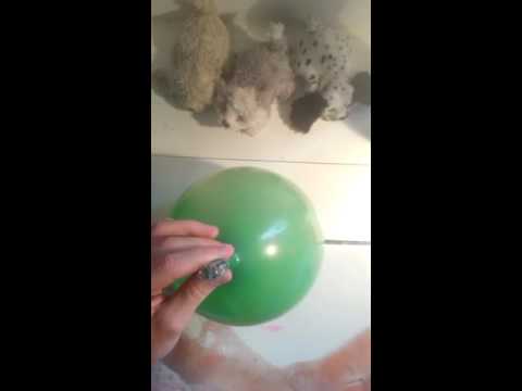 Diy Antistressball mir Orbeez perlen/lufterfrischer ❤ Made bye Lara ❤🐶