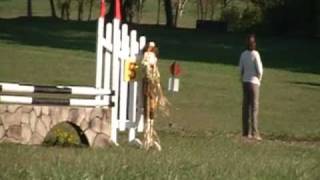preview picture of video 'Young Event Horse East Coast Championships Jumping 2010'