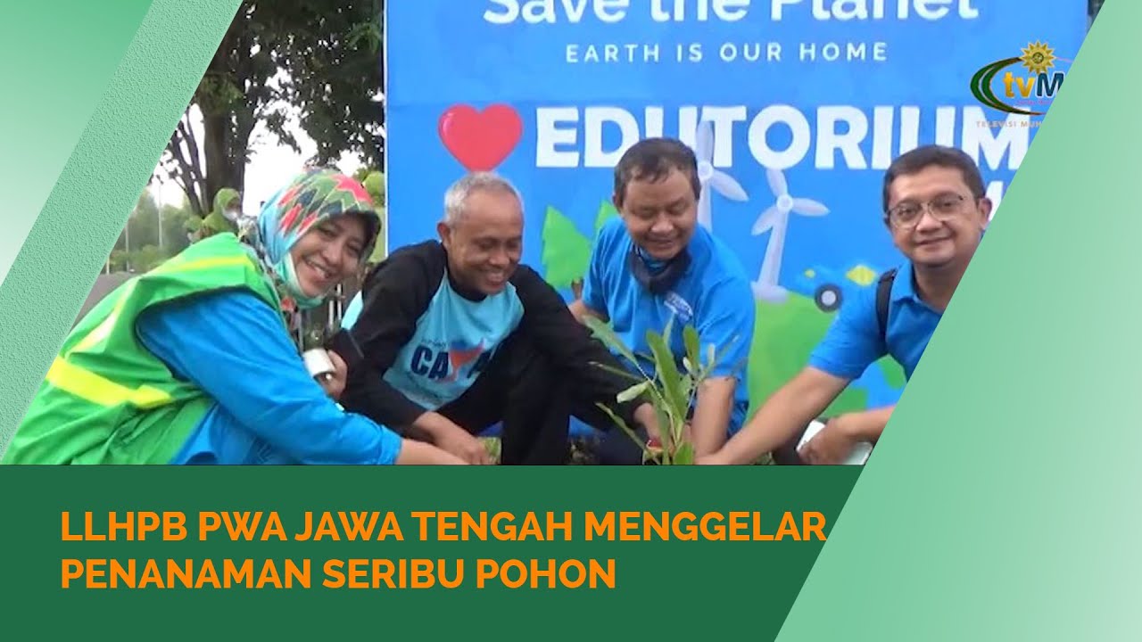 Jelang Muktamar ke-48, LLHPB 'Aisyiyah Jateng Tanam Seribu Pohon