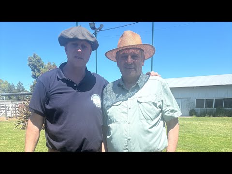 Entrevista al Consignatario de hacienda, Daniel Civardi en Coronel Dorrego