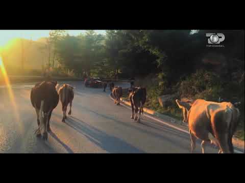 Rrathe 4, 1 Korrik 2017 - Pyesni pluhurin - Top Channel Albania