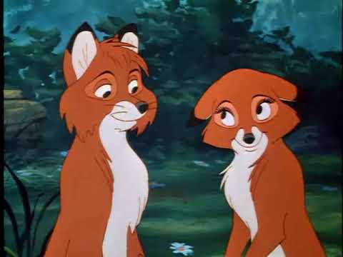 Animash - One Day She'll Love Me