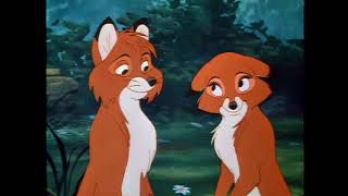 Animash - One Day She&#39;ll Love Me