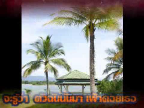 เชื้อโรครูปภาพสำหรับผู้หญิง ซื้อ Exciter สำหรับผู้หญิงในมินสก์