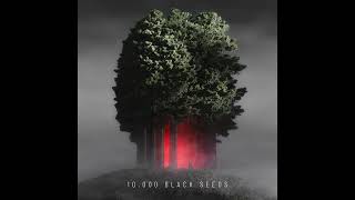 Björn Torwellen - 10 000 Black Seeds [NST184]