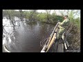 Фото Ловим огромных карасей пауком- подьемником на мосту из живых деревьев.  4К