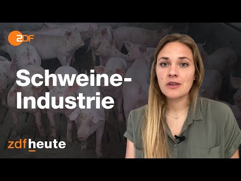 Deutschland deine Schweine: Wo die Schnitzel herkommen
