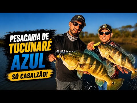 Pescaria de tucunaré azul Rio verdinho Go 