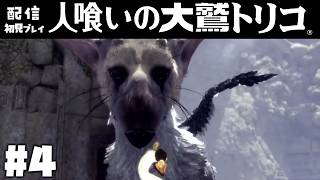 #4【配信】名作ゲーム「人喰いの大鷲トリコ」を実況プレイ【少年と巨獣が紡ぐ、新たなる神話】#人喰いの大鷲トリコ