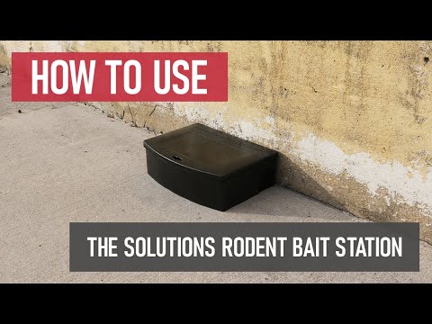 How to Use the Solutions Rodent Bait Station [DIY Rodent Control]
