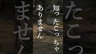 大体一分で終わるスカイリム実況その3#skyrim #だいたい一分実況　#short