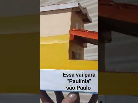 mais uma encomenda que vai para "Paulínia" São Paulo 13/04/24
