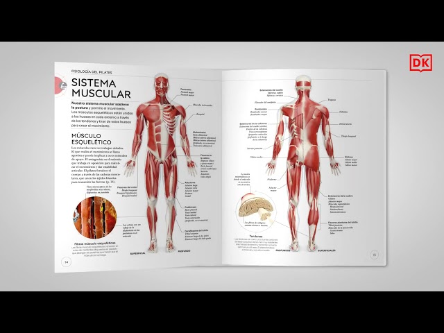 Vídeo relacionado con Pilates: Mejora tu técnica, evita lesiones, perfecciona tu entrenamiento (Deportes DK)