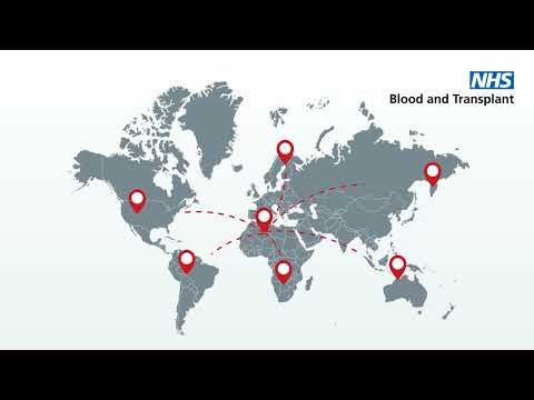 Educational animation for obstetric staff