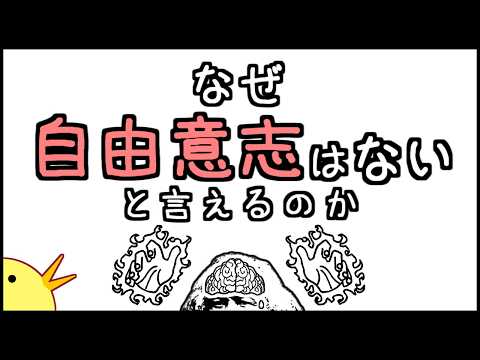ロロ ピチェノについて詳しく解説