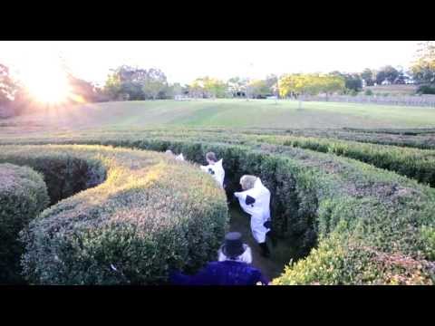 MAR HAZE - FREE RIDER (Official video)