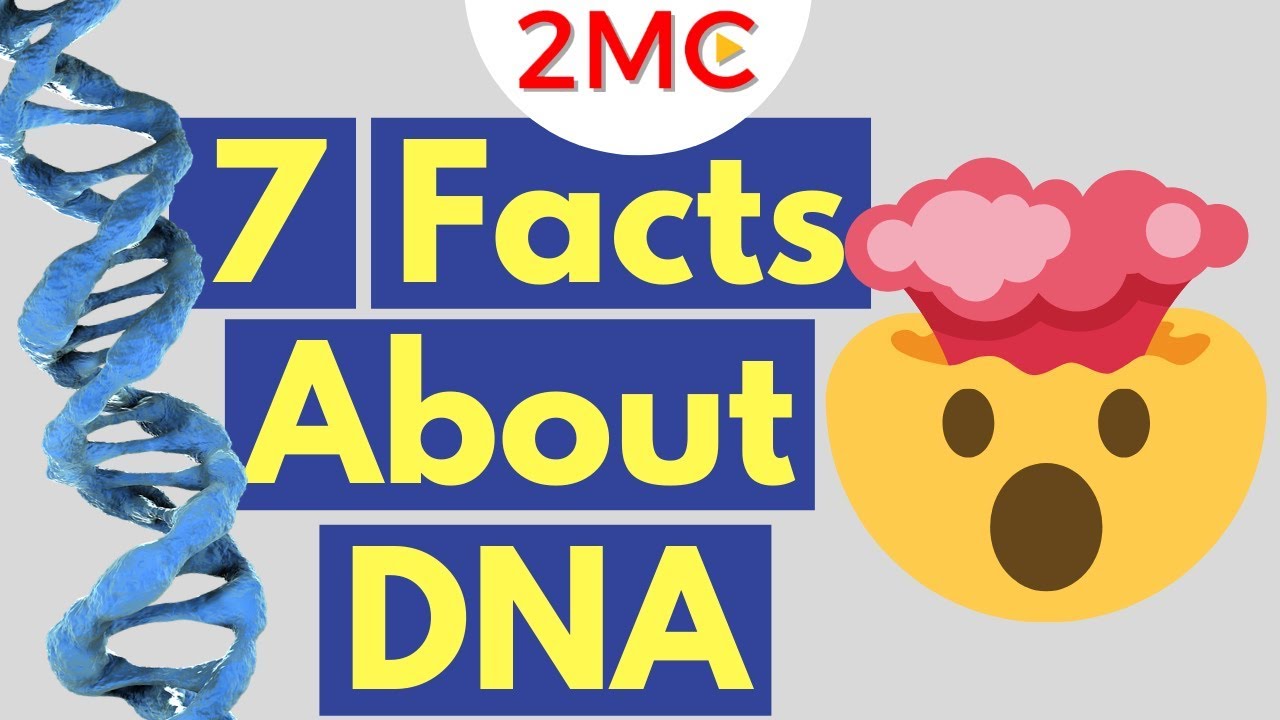 7 Mind Blowing Facts About DNA | What is DNA?