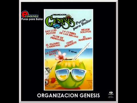 ORGANIZACION GENESIS - TEMO PERDERTE