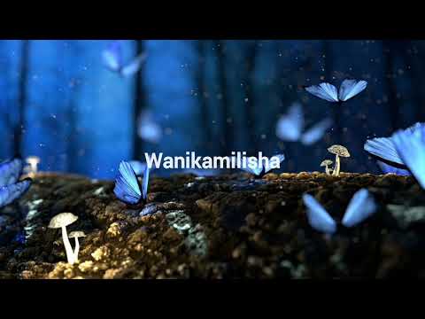 Faith Gerasius_-_Wanikamilisha(Official Lyrics Video)0766322339