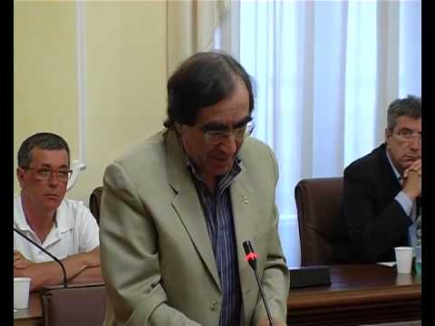 ONDA TG 1.10.2013 - CONSIGLIO COMUNALE DI SULMONA