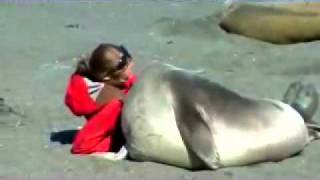 Seal meets girl.  Seal falls in love with girl.  The end.
