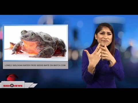 Lonely Bolivian water frog seeks mate on Match.com (ASL - 2.13.18)