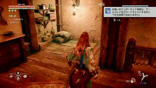 ＃ホライゾンゼロドーン #HorizonzeroDawn ホライゾンゼロドーンのんびりプレイします(^_^)
