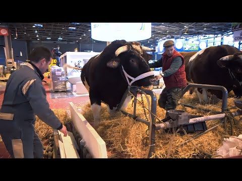 , title : 'Une année aux côtés des agriculteurs français : le Salon de l'Agriculture à Paris'