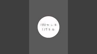 食後の散歩