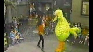 Diana Ross &amp; Big Bird - Believe in Yourself