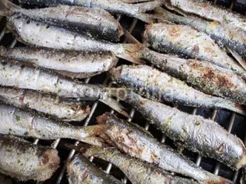 Trio Latte Dolce Sasdhina