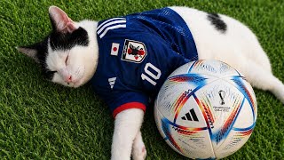 FC26 プロクラブパブリック配信　参加者がいることを信じてる