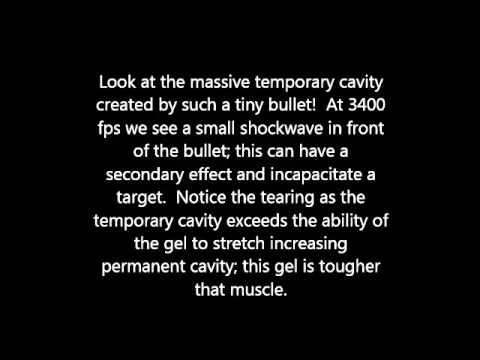 Monolithic Munitions 223 Rem 40g HV bullet in gel high speed