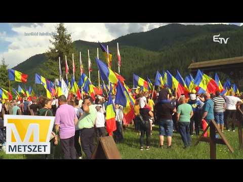 Jogvédelmi jelentés a magyarellenességről – Metszet