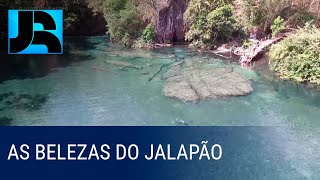 Miniatura do vídeo