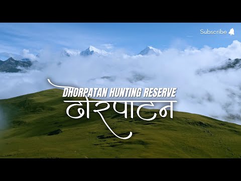 DHORPATAN TREK DURING MONSOON | BUKIPATAN | 4190M | 4K