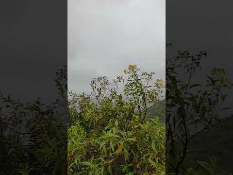 Bialet Massé Córdoba ( vista desde la capilla) 2025