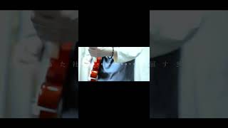 【#又三郎】【#ヨルシカ】【#shorts】【#永久機関】#又三郎 #ヨルシカ #幻燈 プロフよりYouTube fullへ飛べます！ #初音ミク #anime   #hatsunemiku