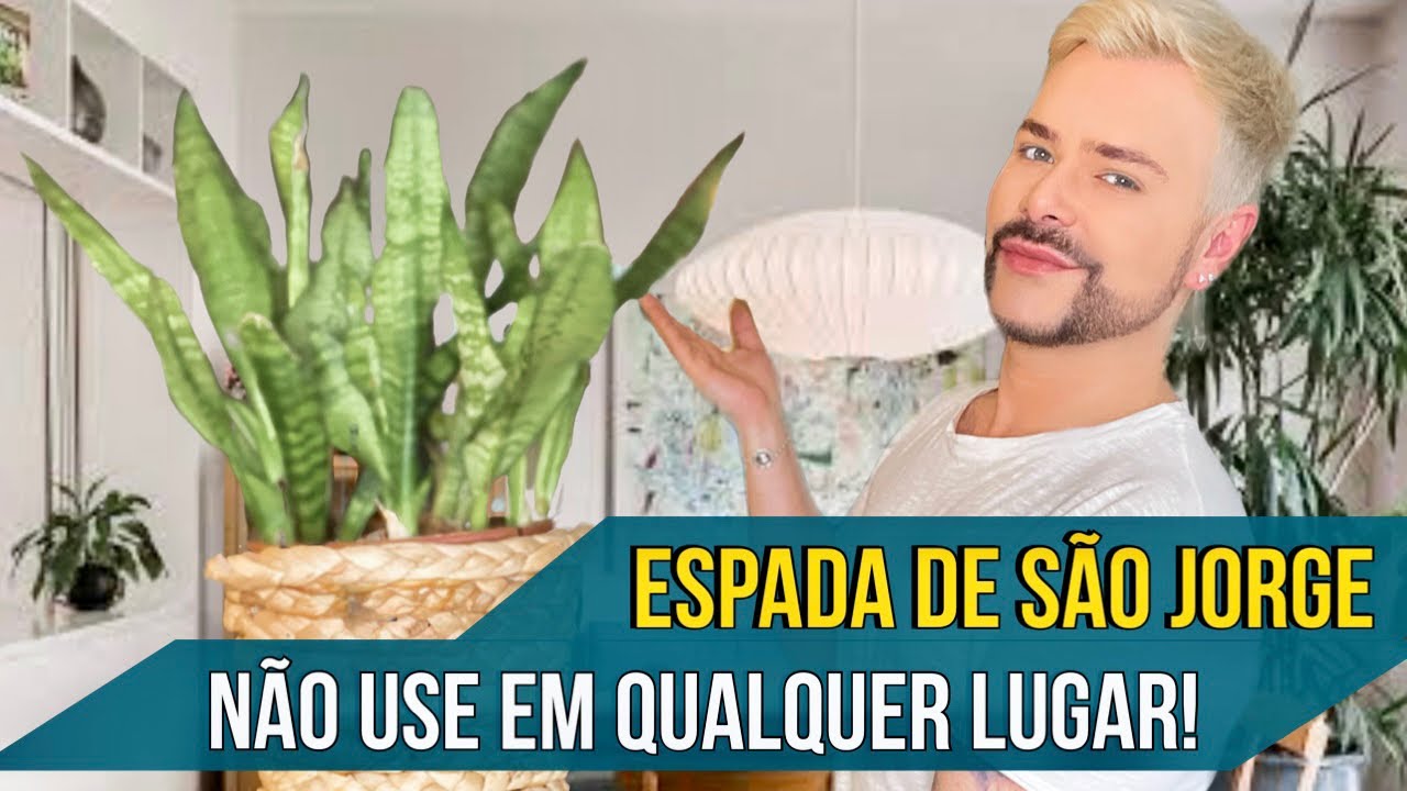 CUIDADO AO COLOCAR ESPADAS DE SÃO JORGE EM CASA - ONDE PODE E ONDE VOCÊ NÃO DEVE USAR/ LUIZ NETTO