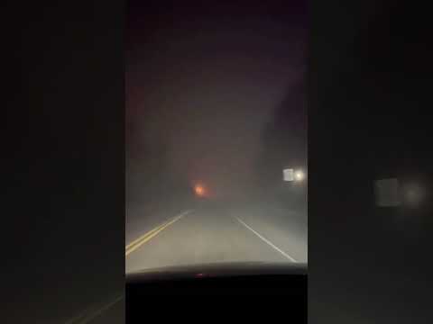 Which light is better: White LED or Yellow Halogen?💡#Shorts #cars