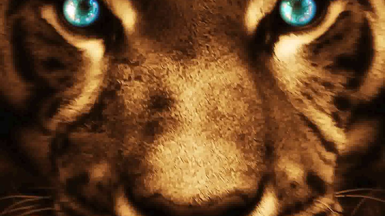 [Samsung Themes-Animated Wallpaper] Fierce animal