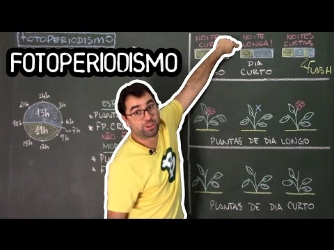 , title : 'Fotoperiodismo - Fisiologia Vegetal - Aula 33: Botânica (Prof. Guilherme)'