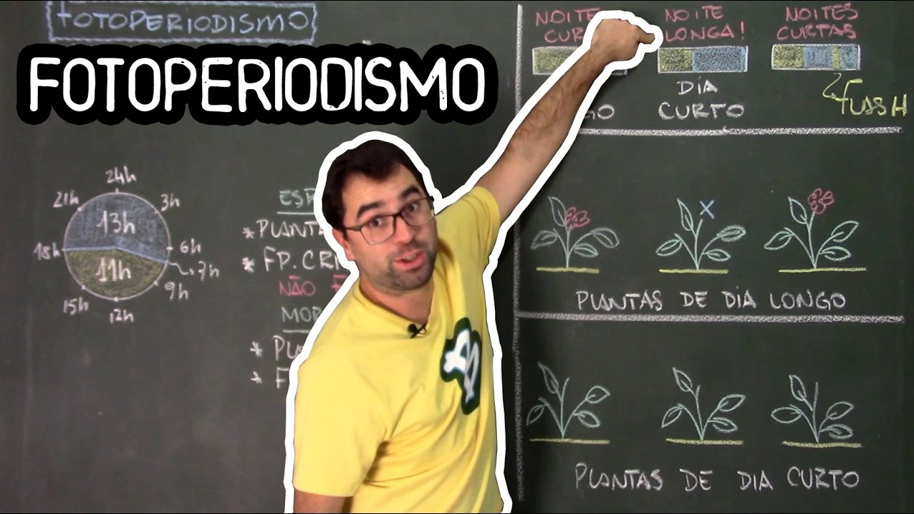 Fotoperiodismo - Fisiologia Vegetal - Aula 33: Botânica (Prof. Guilherme)