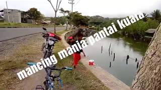 preview picture of video 'Mancing mania dipantai kuala perlak lagi viral semua warga macing sana'